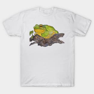 Beautiful chunky frog print T-Shirt